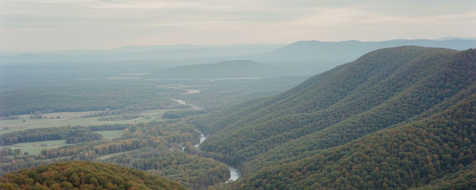 A forested ridge falls into a hazy valley where a pale river loops through the woods, and a road runs straight across cleared pasture strips under layered, fading ridges.