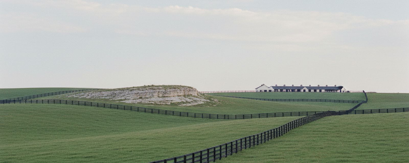 Black plank fencing over rolling Bluegrass pasture outside Lexington, a limestone rise behind it and a row of white horse barns on the skyline.