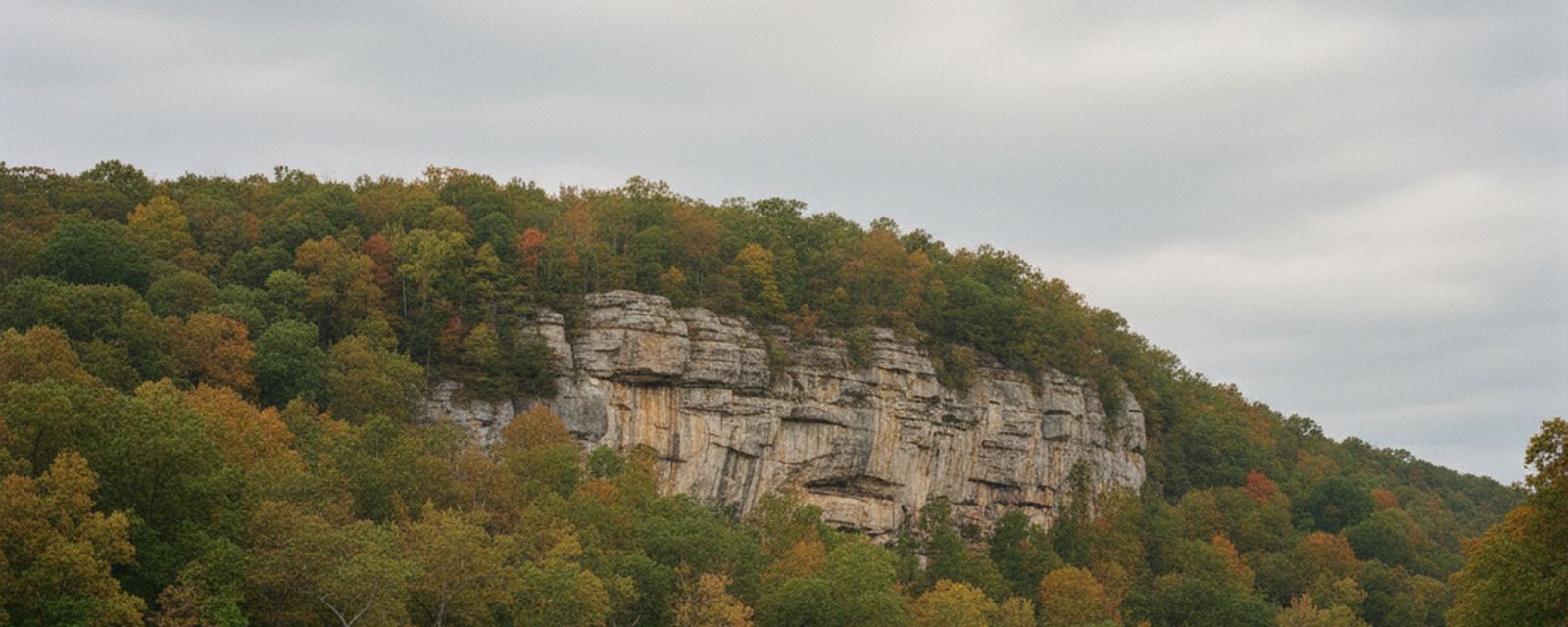 Blocky gray limestone cliff with a shadowed undercut, rust stained streaks on the face, hardwood forest in orange and gold above and below, ridge falling right under pale overcast sky.